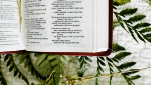 Biblia